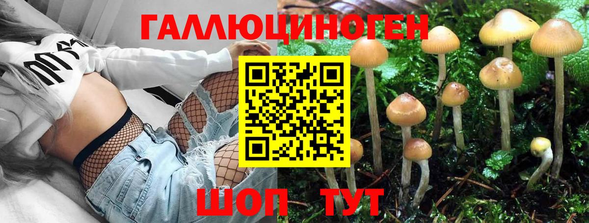 Минусинск  Галлюциногенные грибы GOLDEN TEACHER  Вход с VPN 