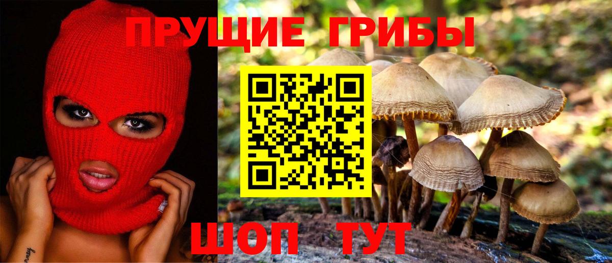 Псилоцибиновые грибы Magic Shrooms Минусинск