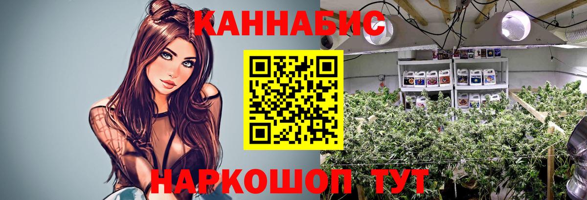 Марихуана план  Вход с VPN  Минусинск  Марихуана сатива  Конопля сатива  Каннабис ГИДРОПОН 